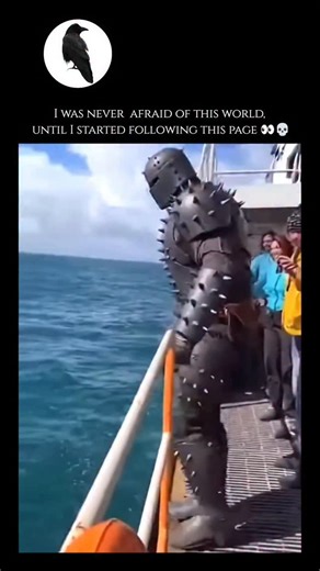 unseenwildlife on Instagram: "Sharks are extraordinary cartilaginous fish that have patrolled the world’s oceans for over 400 million years, predating even the earliest dinosaurs. Unlike most fish, their skeletons are made of lightweight, flexible cartilage rather than bone, which, combined with their oily livers, allows them to remain buoyant and highly maneuverable. They possess an array of highly specialized senses, including the ability to detect the tiny electromagnetic fields produced by t