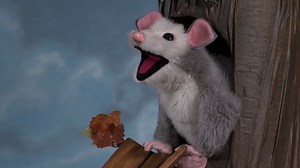 We’ve all been there. Possum’s choir teacher chose him to sing the solo, and he’s stressed! Singing in front of people is hard, but with help from Auntie Lena and friends, Possum practices his confidence by getting out of his comfort zone and trying all sorts of new things! Watch the full episode of Look, Listen and Learn TV: https://youtu.be/KBDgzn49tp0 Douglass Truth Branch of The Seattle Public Library Wa Na Wari | Seattle Channel | Facebook