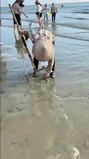 Expert Tips for Beach Shell Digging! Learn How to Find More Treasures from a Pro