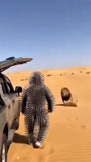 Predator Prank Gone Wrong: Unexpected Encounter