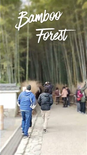 30 Minutes from Osaka | Visiting the Famous Arashiyama Bamboo Forest Kyoto