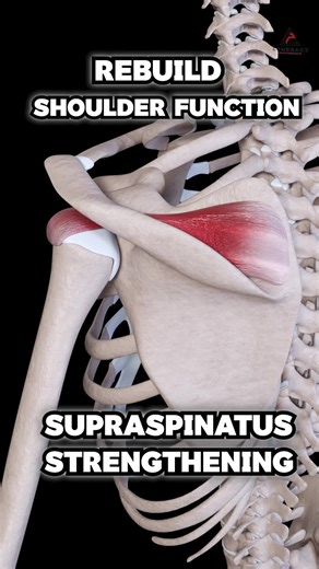 Understanding Supraspinatus Injury and Rehabilitation Techniques