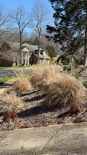 #cleancutlandscaping