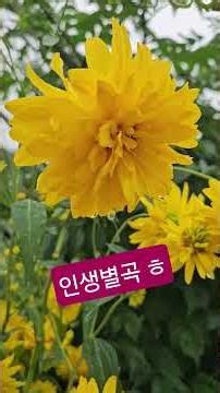 인생별곡 오늘도^^ 건행^^