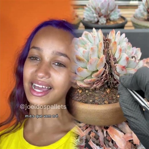 Você nem é minha filha