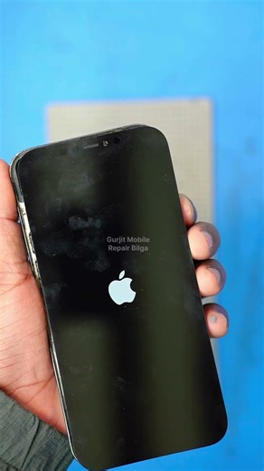 iPhone 12 Pro Max gx display change asmr