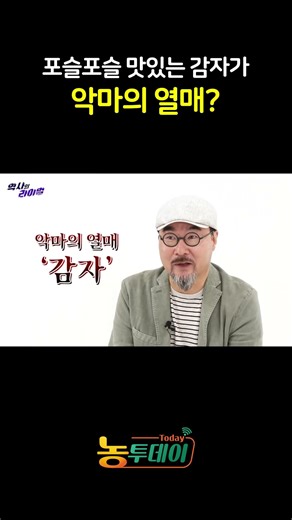 포슬포슬 맛있는 감자가 한때 악마의 열매였다..? 🥔😈