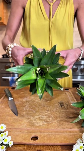 This is the part 3 of a 5 video series of my garden party with Laura of @lello_co to welcome spring: stay tuned 🌸🍋🌼 What you need 1 fresh pineapple Sharp knife or mandoline slicer Instructions: Trim the pineapple, do not core Cut off the top and bottom of the pineapple so it sits flat. Peel off the skin and remove any “eyes” with a small paring knife. Slice the pineapple: Slice the pineapple into the thinnest slices possible Dry as well as possible \t Bake on parchment on 200 degrees for 2-3 