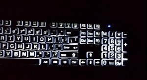 TRONWIRE LED White Backlit Illuminated Large Print Letter Wired USB 104 Keys Standard Full Size Keyboard for Desktop PC Computer