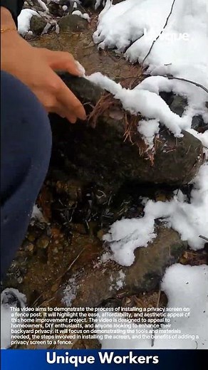 Catching crabs in snow: people catching crabs in a snowy stream