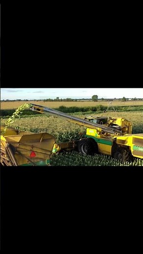 “High-Power Forage Harvester Unloading Corn | Advanced Silage Harvesting in Modern Farming”