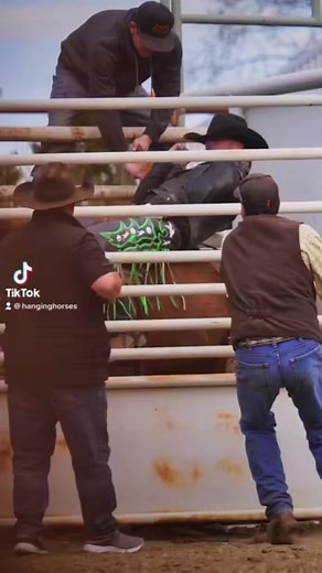 Throwback to a dramatic summer practice pen blooper 😁 #rodeo #rodeoblooper #rodeowreck #practicepen #bronc | Hanging Horses