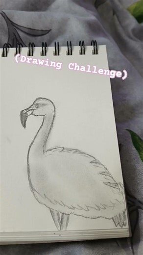 Drawing Challenge✨️🌊