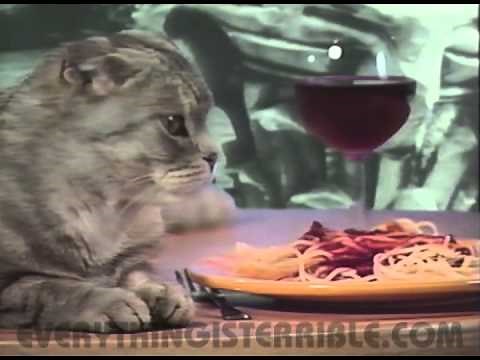 Classic Footage of Author Peter Gethers and His Cat Norton Sharing a Brief History of Cats