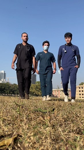 Qualities of a Good Doctor Revealed | Traits to Look For