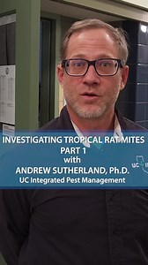 1K views · 15 reactions | Andrew Sutherland, Urban Integrated Pest Management Advisor for UC IPM Urban and Community program in the San Francisco Bay Area, shows how his work often calls on him to play pest detective.” In this case, he worked with #pest control operator Pestec to evaluate different methods to attract and trap tropical rat mites. | UC Agriculture & Natural Resources | Facebook