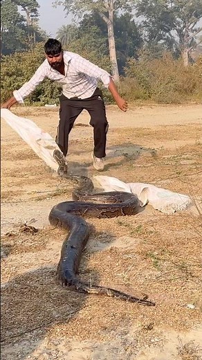 बुलंदशहर में निकला पहली बार एनाकोंडा😱😮🐉