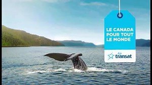 602 reactions · 96 shares | Air Transat propose des vols directs vers le Canada : Montréal, Québec, Toronto, Calgary et Vancouver, vous avez le choix ! Et maintenant, il ne vous reste plus qu’à « ben checker » nos tarifs promotionnels ! | Air Transat | Facebook