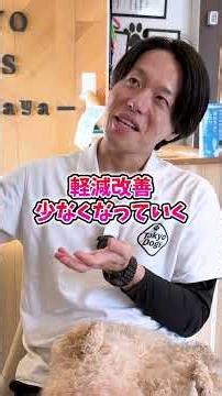 子犬の甘噛みは治る？