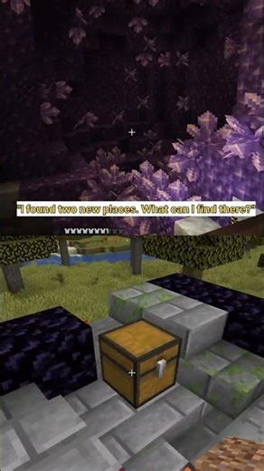 The Most Unique Minecraft Location Ever Discovered