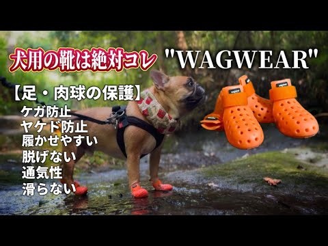 【The Only Dog Boots You'll Need】 Protect paws and prevent injuries or burns during outdoor activi...