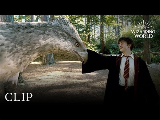 Harry Potter - Harry Meets Buckbeak - Can & Cannot
