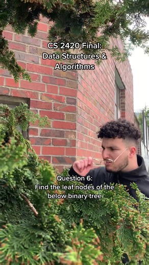 i don’t want to jinx it but i think i did good on this question #tech #programming #coding #computerscience #college #techtok