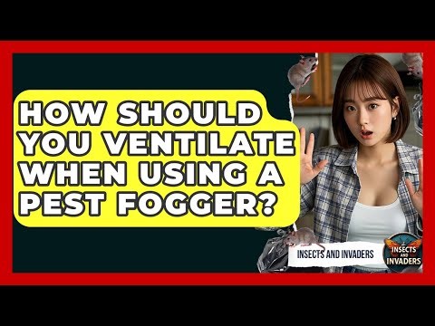 How Should You Ventilate When Using A Pest Fogger? - Insects and Invaders