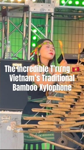 Amazing Sounds of Vietnam 🇻🇳 T’rưng Bamboo Xylophone Performance | Vietnam Festival Yoyogi Park