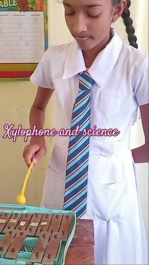The Science of Sound: Exploring Vibrations with the Xylophone💥🧋📣📣📣 read discription