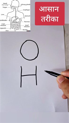 Human Digestive system diagram drawing class 10 Science