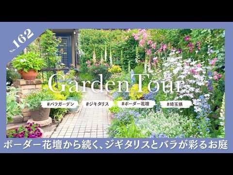 🕊Garden Tour🕊162：ボーダー花壇からガゼボ、シェードガーデンへと続く、ジギタリスと多彩なバラが彩るお庭