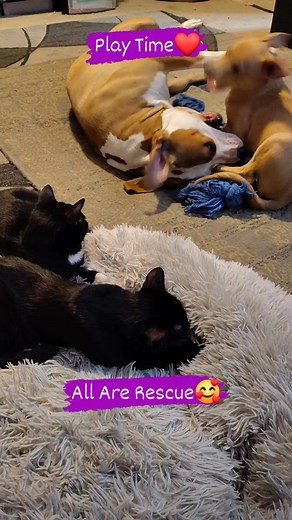 ❤️🙏💯 | Rick Gonzalez