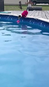 To license this content please click here: https://www.jukinmedia.com/licensing/view/1330146?utm_source=RMsocialpost&utm_medium=RMsocialpost | Jukin Copyright Management | Facebook