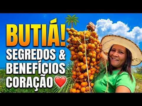 The Mysteries and Benefits of Butiá: From the Palm Tree to Cardiovascular Health.