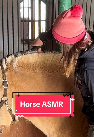Enchanting Horse ASMR Experience