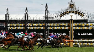 Melbourne Cup Day 2023: tips and previews for every race at Flemington