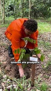 Reforestation is our energy.