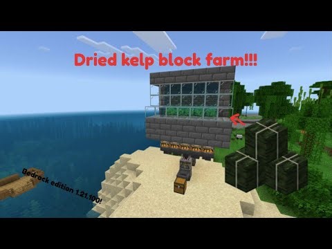 How to make an automatic dried kelp block farm in Minecraft version 1.21.100 bedrock edition