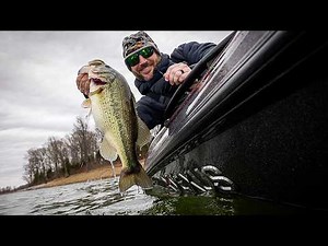 Topwater Bass Fishing on Kentucky Lake with Brandon Hunter