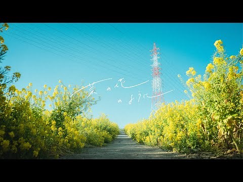 Like a field of mustard blossoms / relier (Official Music Video)
