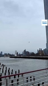 94K views · 626 reactions | Siemens executive and his family killed as sightseeing helicopter crashes in New York. | Euronews English | Facebook