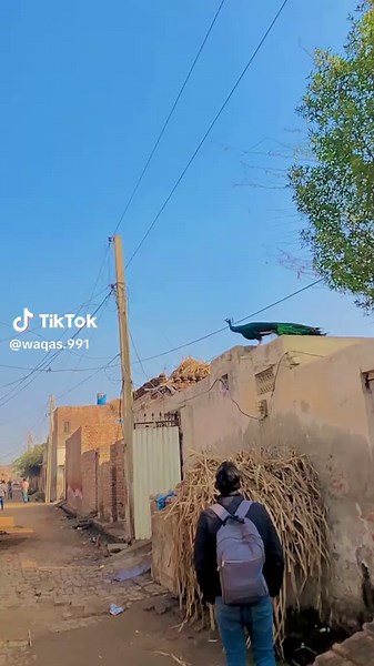 waqas.991 on TikTok