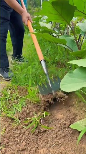 ​🌱⛏️ Dual-Headed Gardening Hoe & Rake | Ultimate Weed Clearing & Soil Tilling Hack