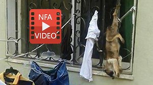 30 reactions · 7 comments | HOW YOU CAN HELP:...