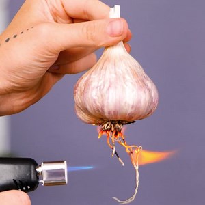 1.9M views · 1.6K reactions | Preserving food hacks that will make food last longer | 5-Minute Crafts Family | Facebook