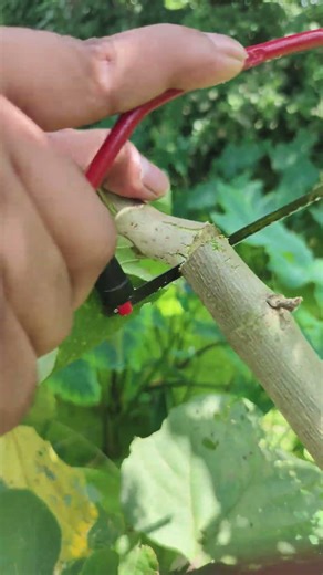 The Craft of Cutting Small #shorts