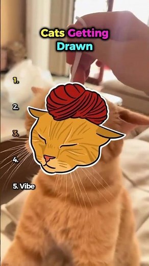 Cats Getting Drawn 🎨💀 (Cursed Cat Ranking)
