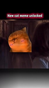New cat meme unlocked | MemesInternational