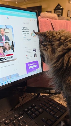 Phantom, Front Desk Mouse Pointer Manager